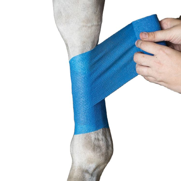 Bandage de jambe de cheval, enveloppement, bandage cohésif élastique non tissé